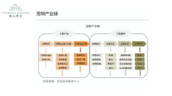 千亿宠物市场爆发前夜,你还有这几个突破口